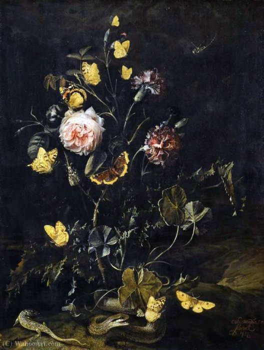 Flowers, Insects And Reptiles — Otto Marseus Van Schrieck