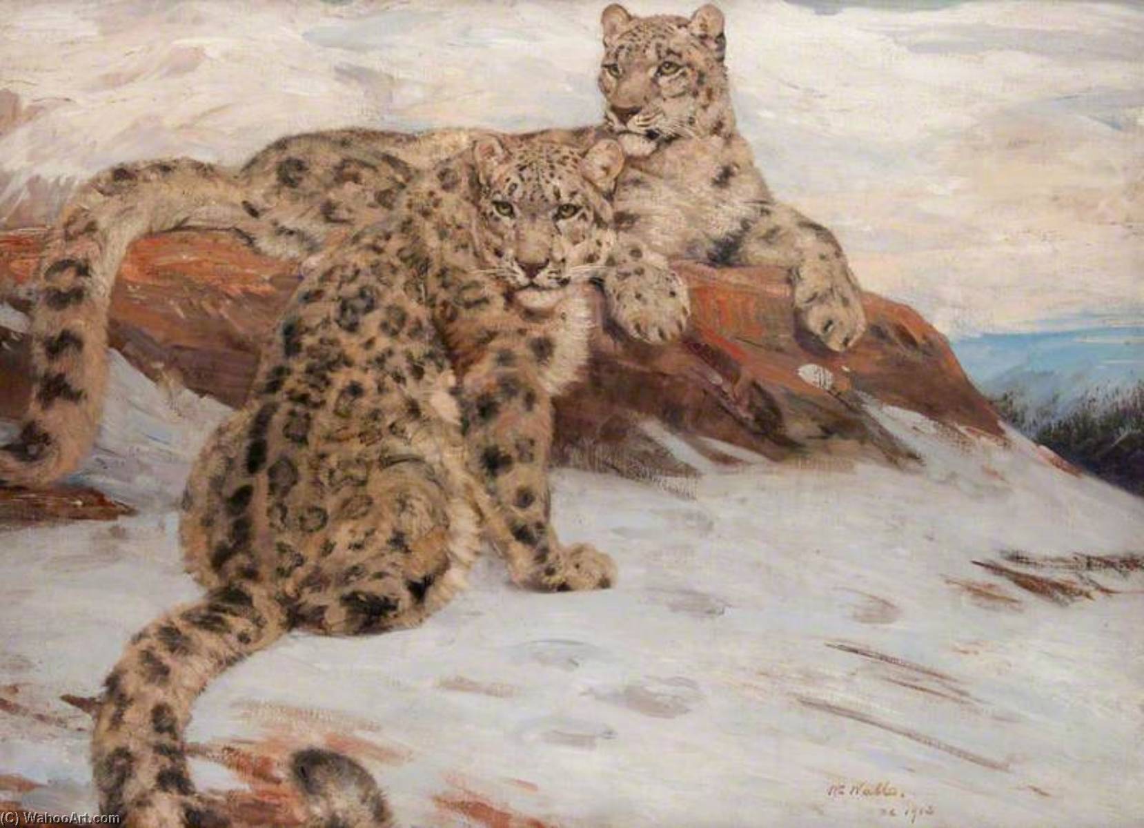 Snow Leopards — William Walls