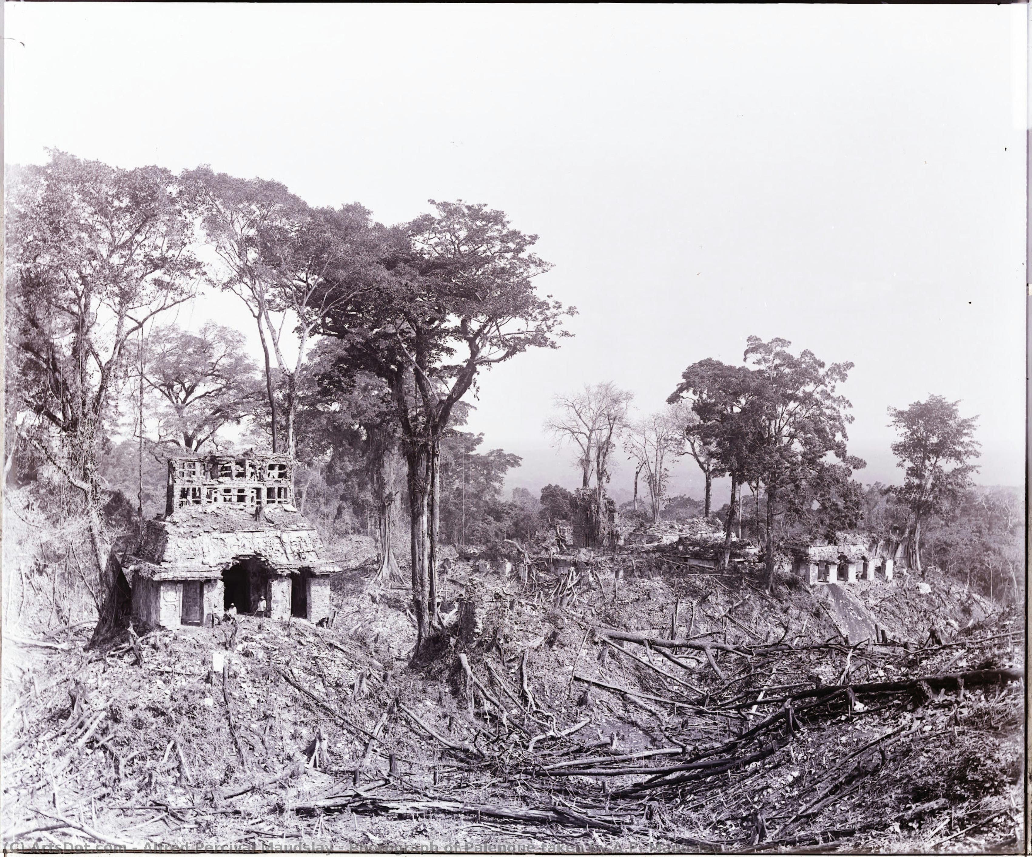 Photograph Of Palenque Taken By A.p. Maudslay — Alfred Percival Maudslay