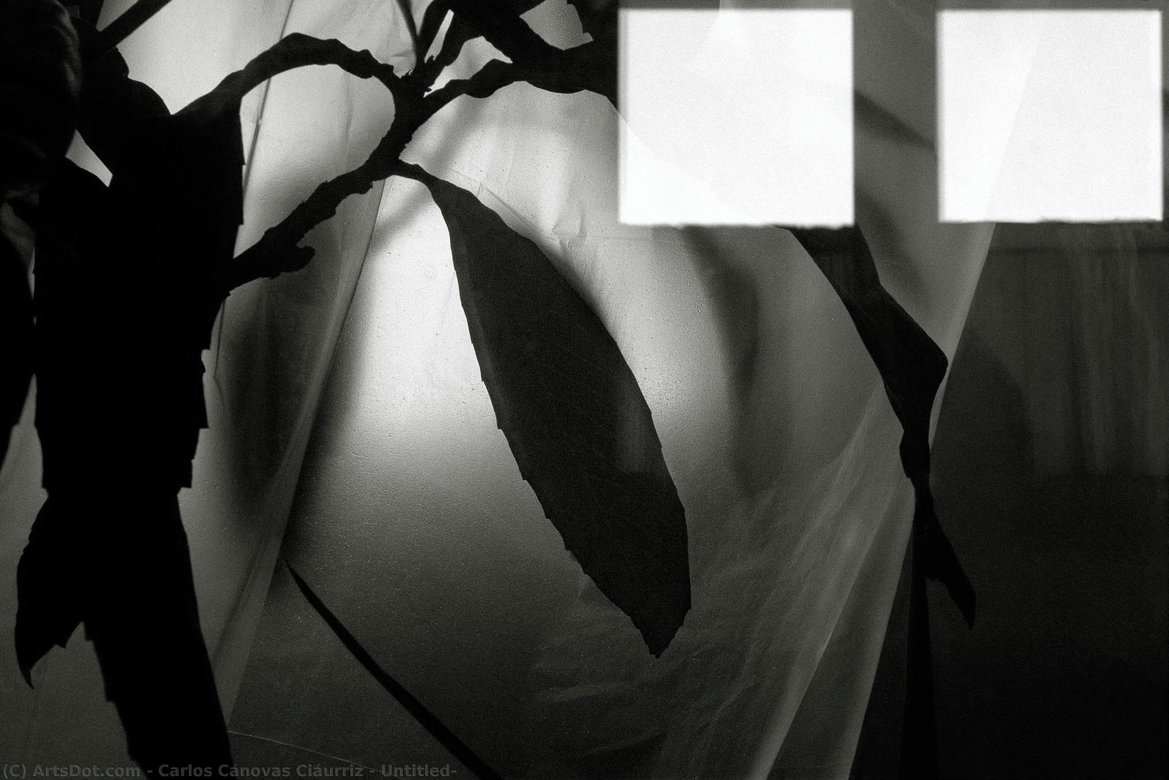 Untitled, — Carlos Cánovas Ciáurriz