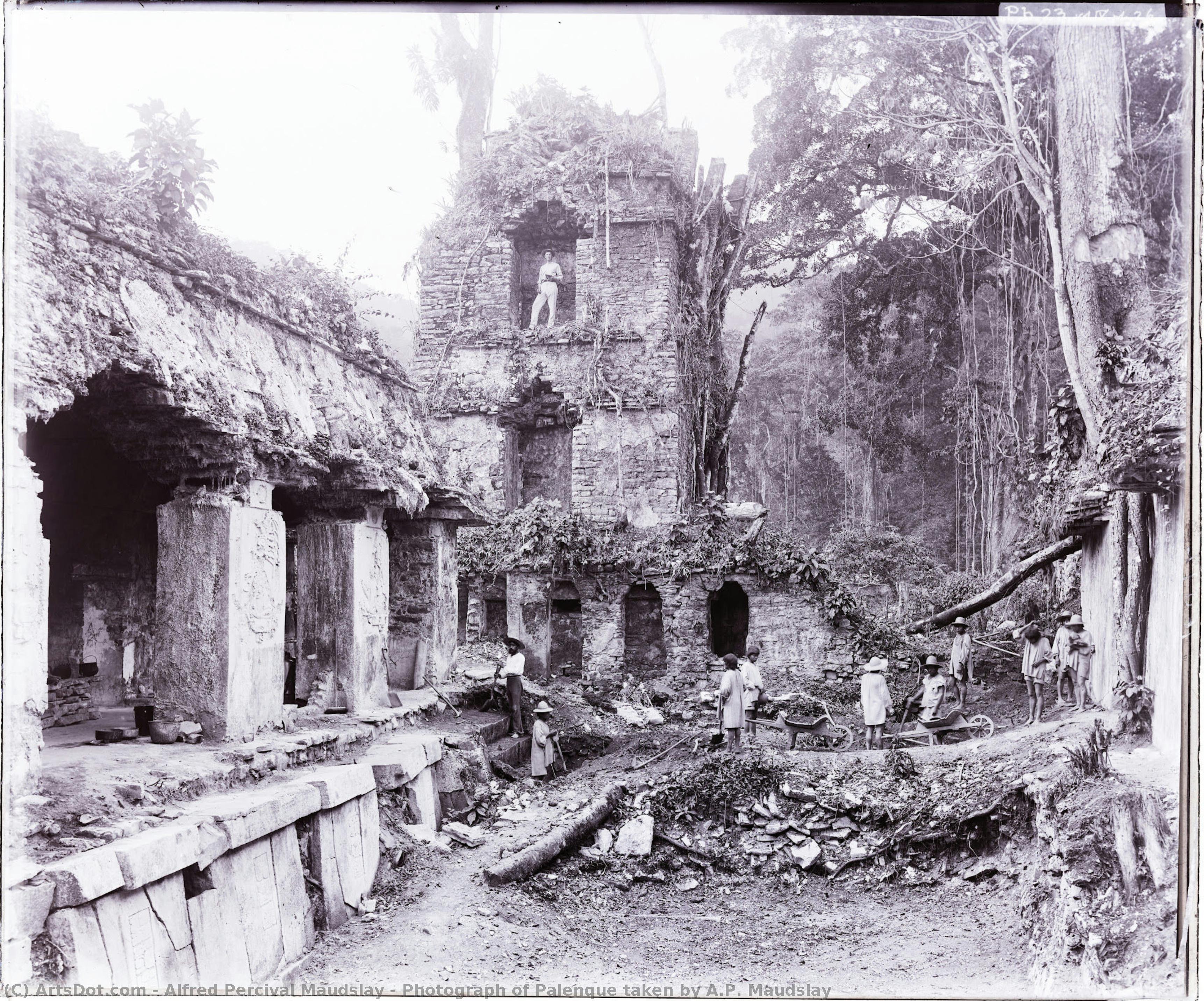 Photograph Of Palenque Taken By A.p. Maudslay — Alfred Percival Maudslay