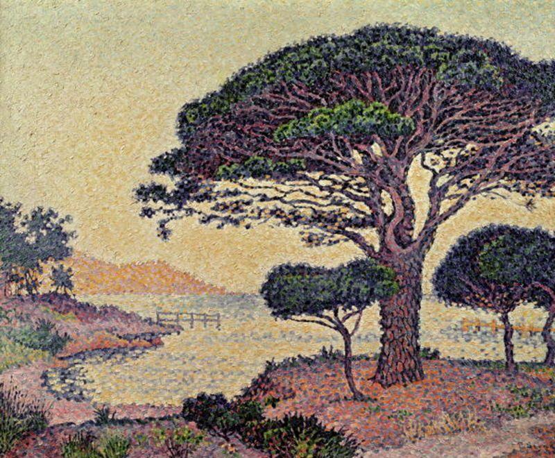Umbrella Pines At Caroubiers — Paul Signac