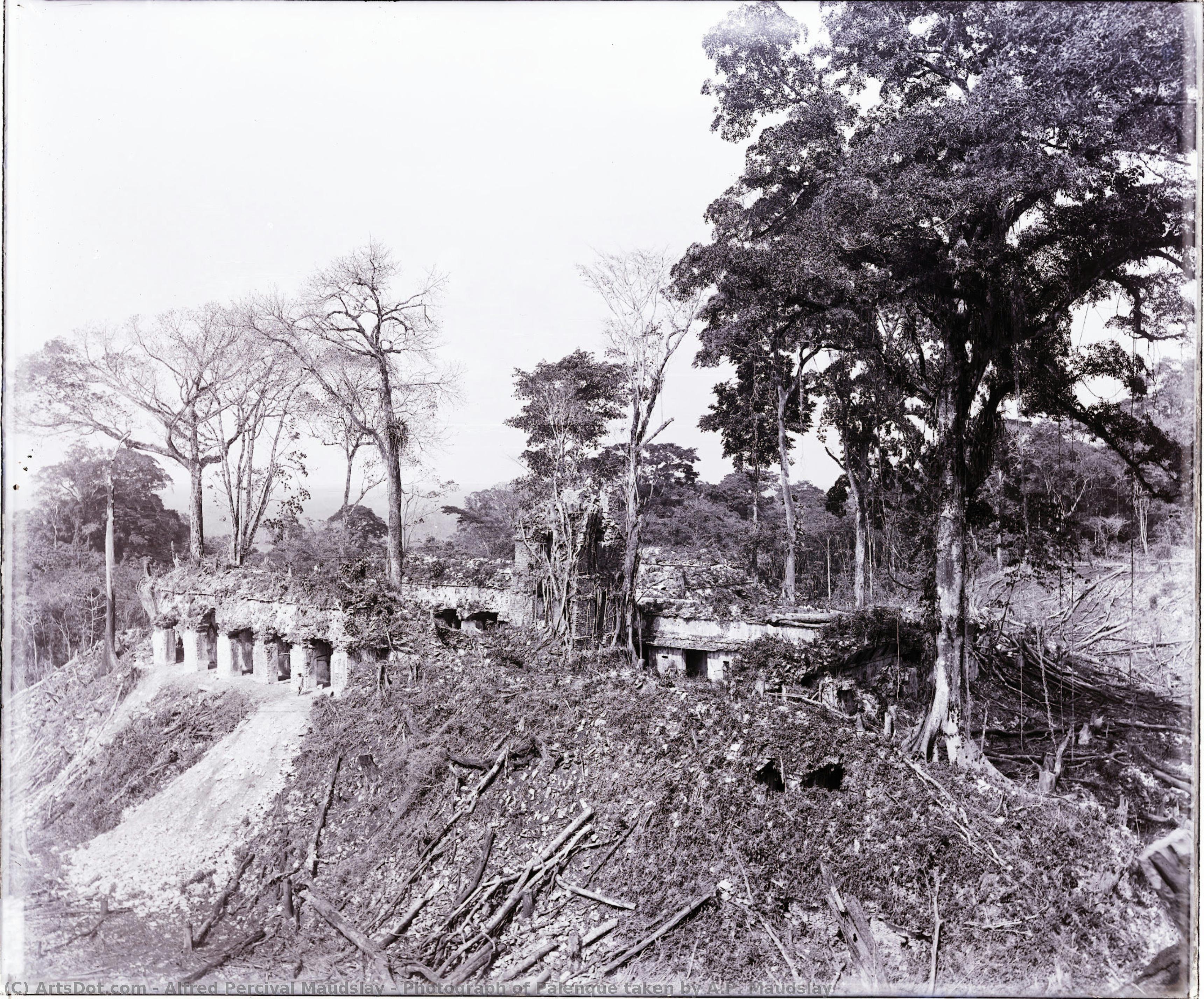 Photograph Of Palenque Taken By A.p. Maudslay — Alfred Percival Maudslay