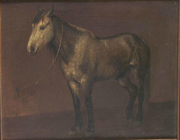 Etude De Cheval — Bonheur Marie Rosalie