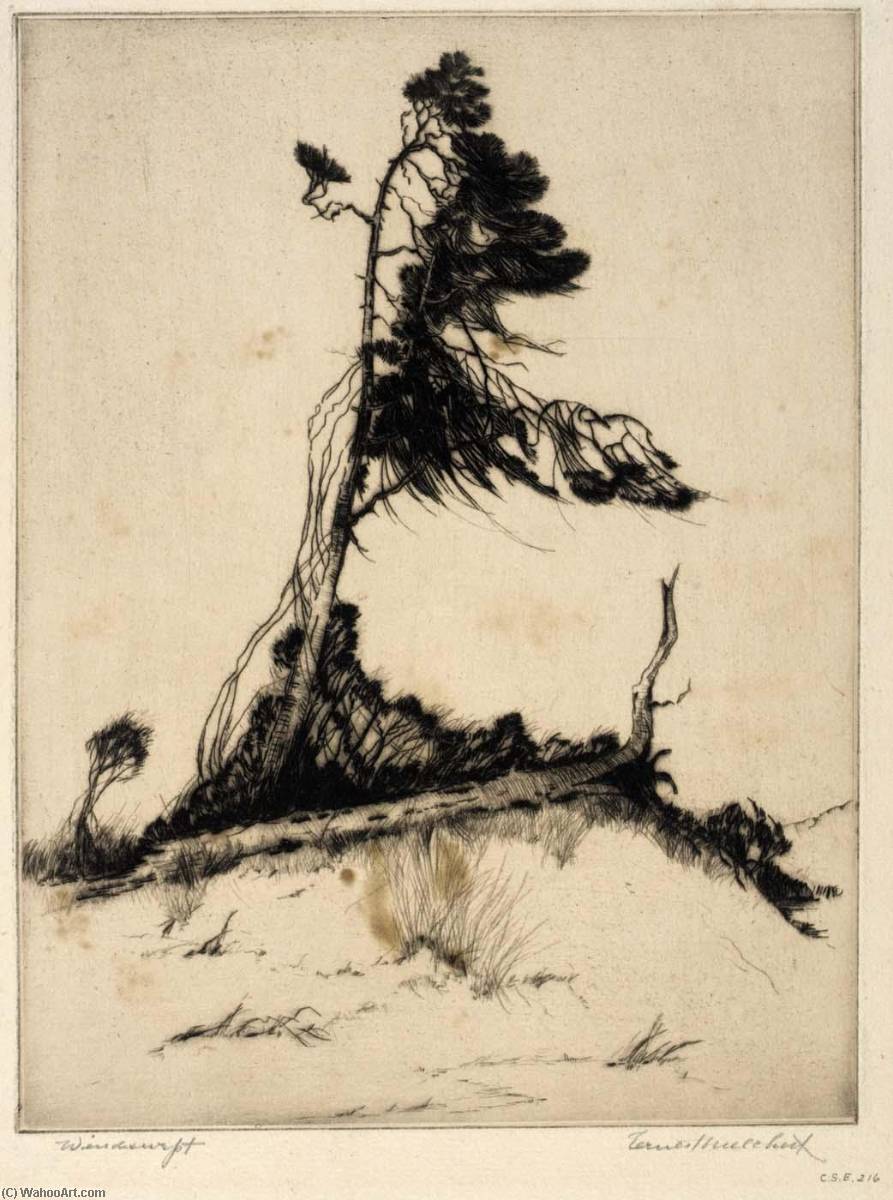 Windswept — Ernest A Melchert