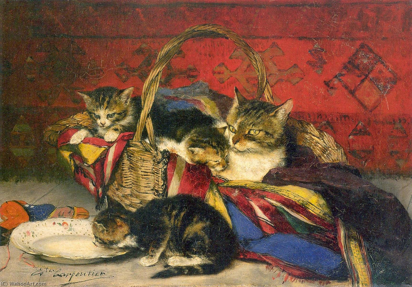 Untitled (aqr9wa) — Évariste Carpentier