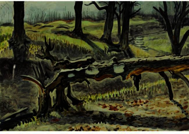 Fallen Tree In Woods — Čarls Burčfild