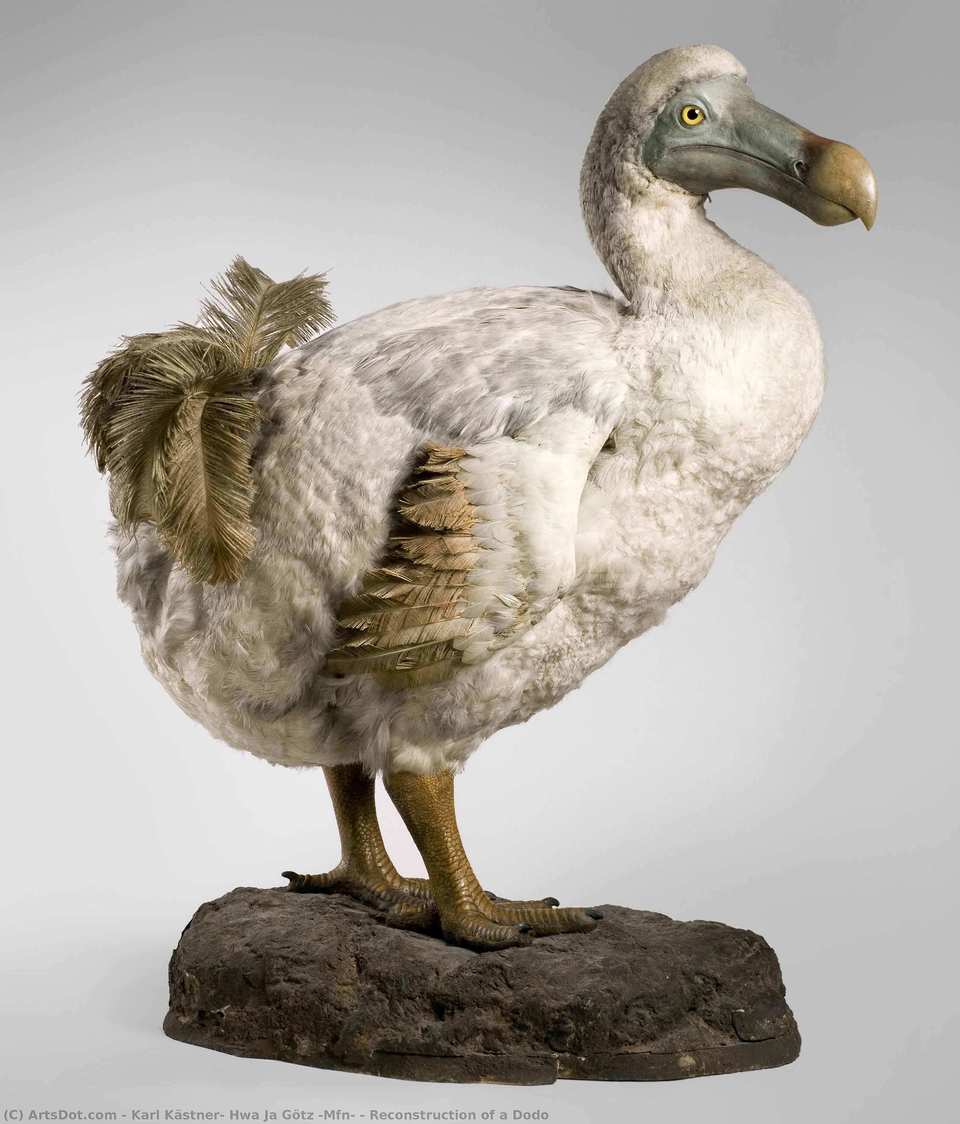 Reconstruction Of A Dodo — Karl Kästner, Hwa Ja Götz (mfn)
