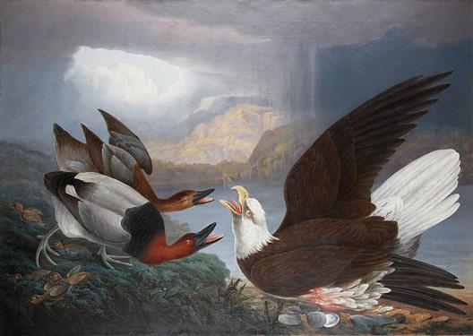 Death Of A Warrior White Headed Eagle, Canvas Back Duck Young (the Death Of A Tyrant), (painting) — Robert Jr Havell