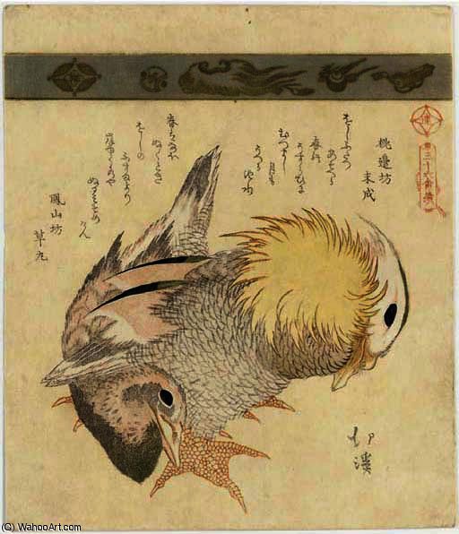 Pair Of Mandarin Ducks — Toyota Hokkei