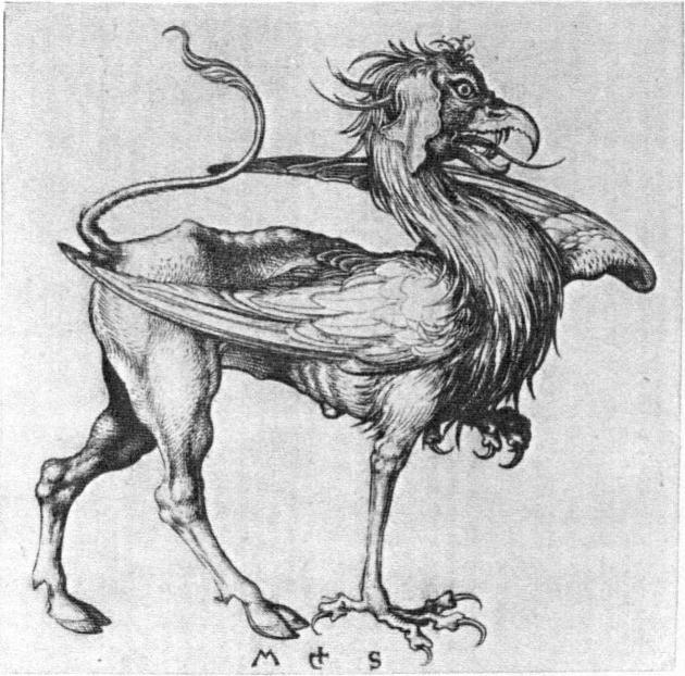 Griffin — Martin Schongauer