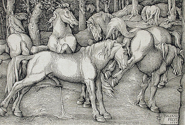 Stallion And Kicking Mare With Wild Horses — Hans Baldung