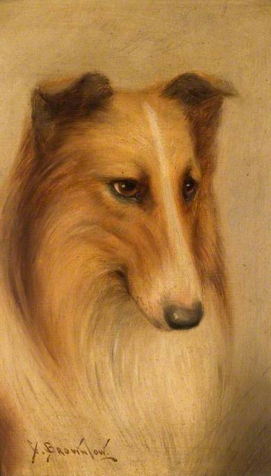 Collie — George Washington Brownlow