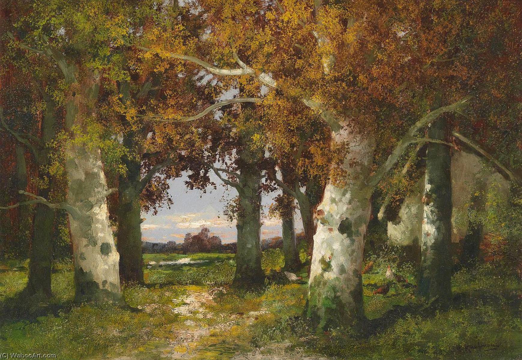 Forest Landscape — Adolf Kaufmann