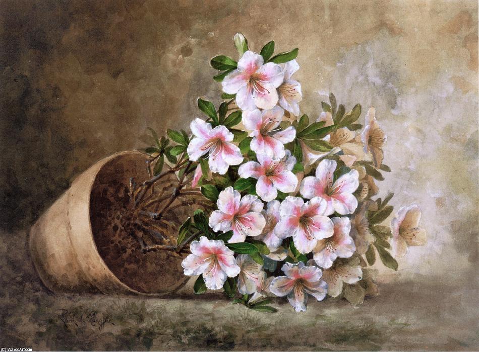 White Azaleas In A Flower Pot — Paul De Longpré