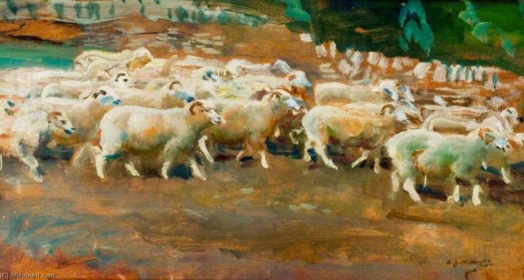 Sheep On Exmoor — Sir Alfred James Munnings
