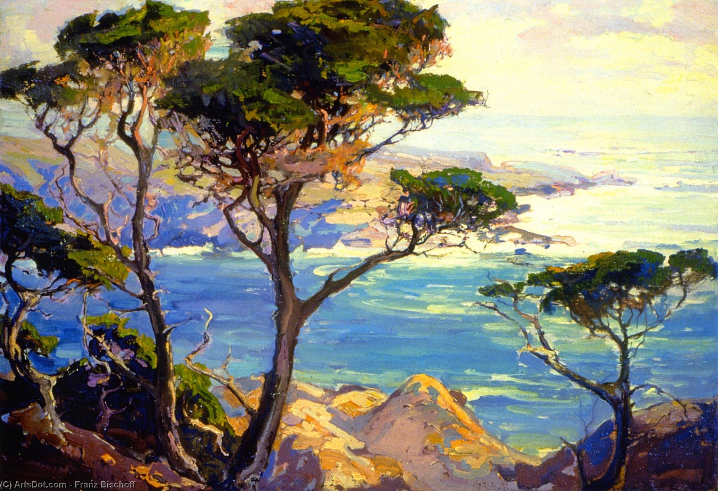 A Lonely Headland, Point Lobos — Franz Bischoff