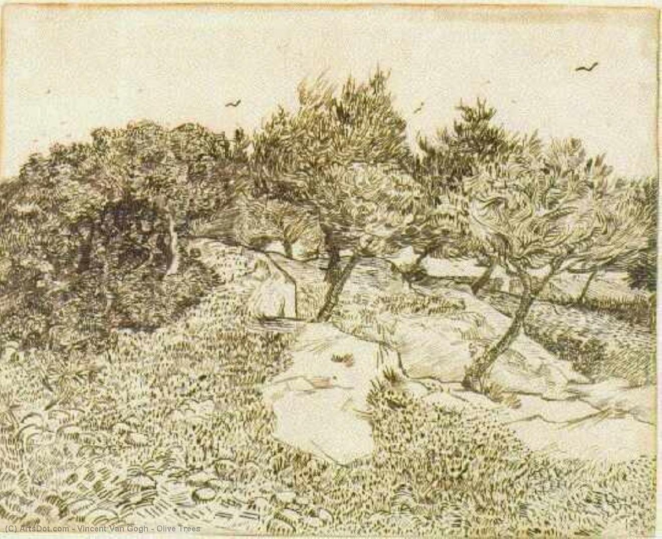 Olive Trees — Vincent Willem Van Gogh