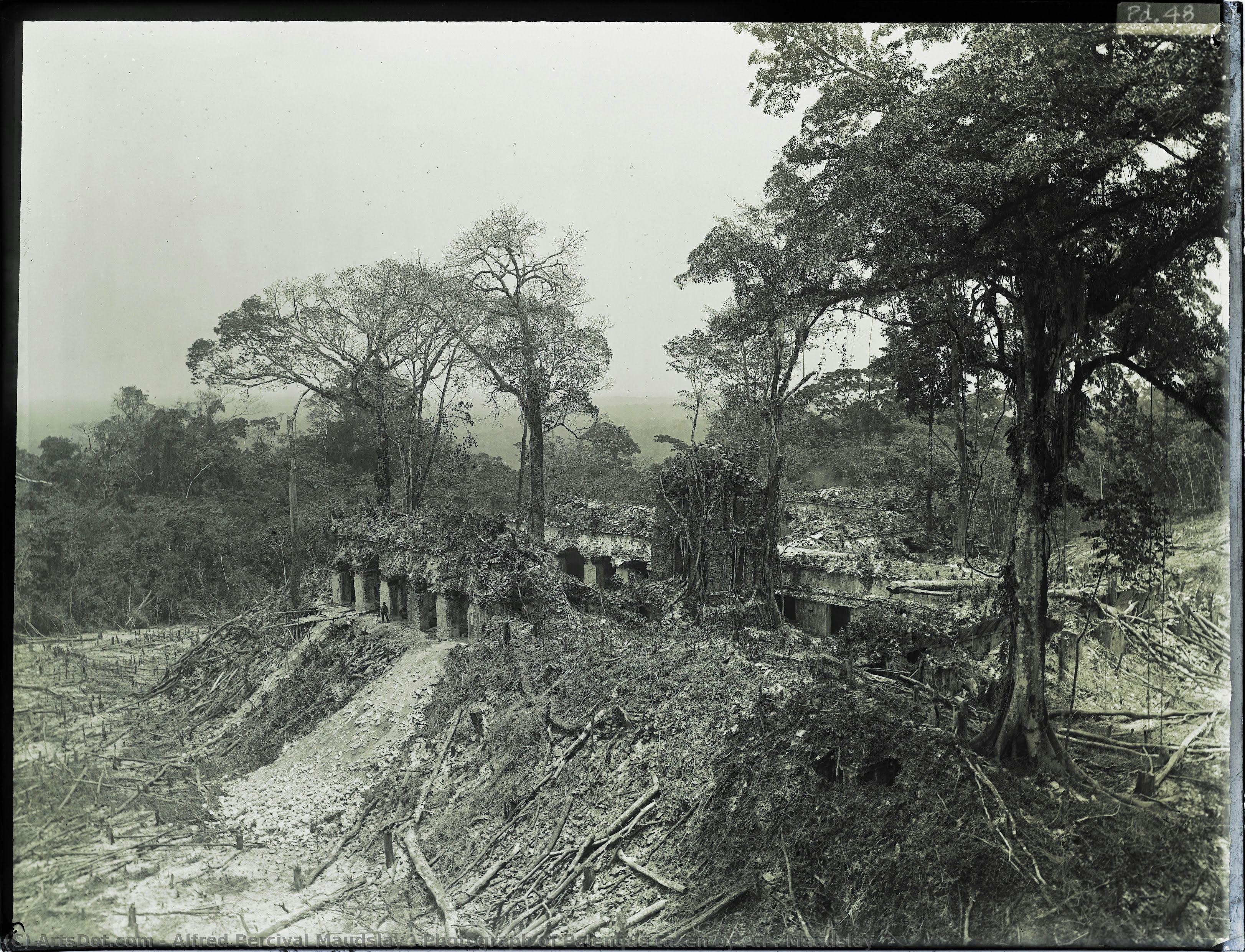 Photograph Of Palenque Taken By A.p. Maudslay — Alfred Percival Maudslay