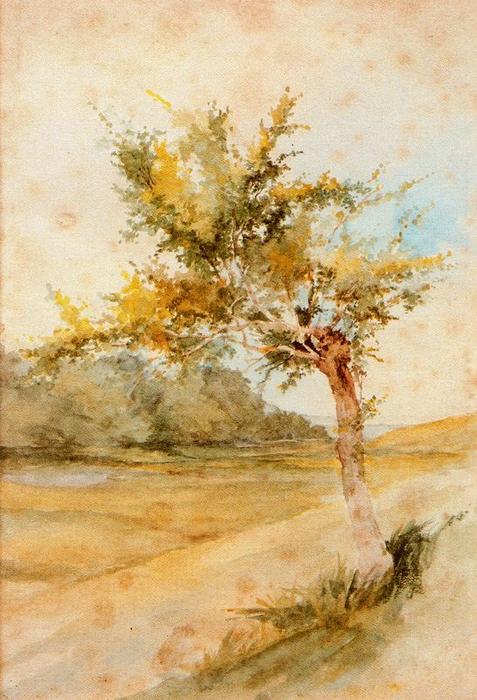 Spring — Ovidio Murguía De Castro