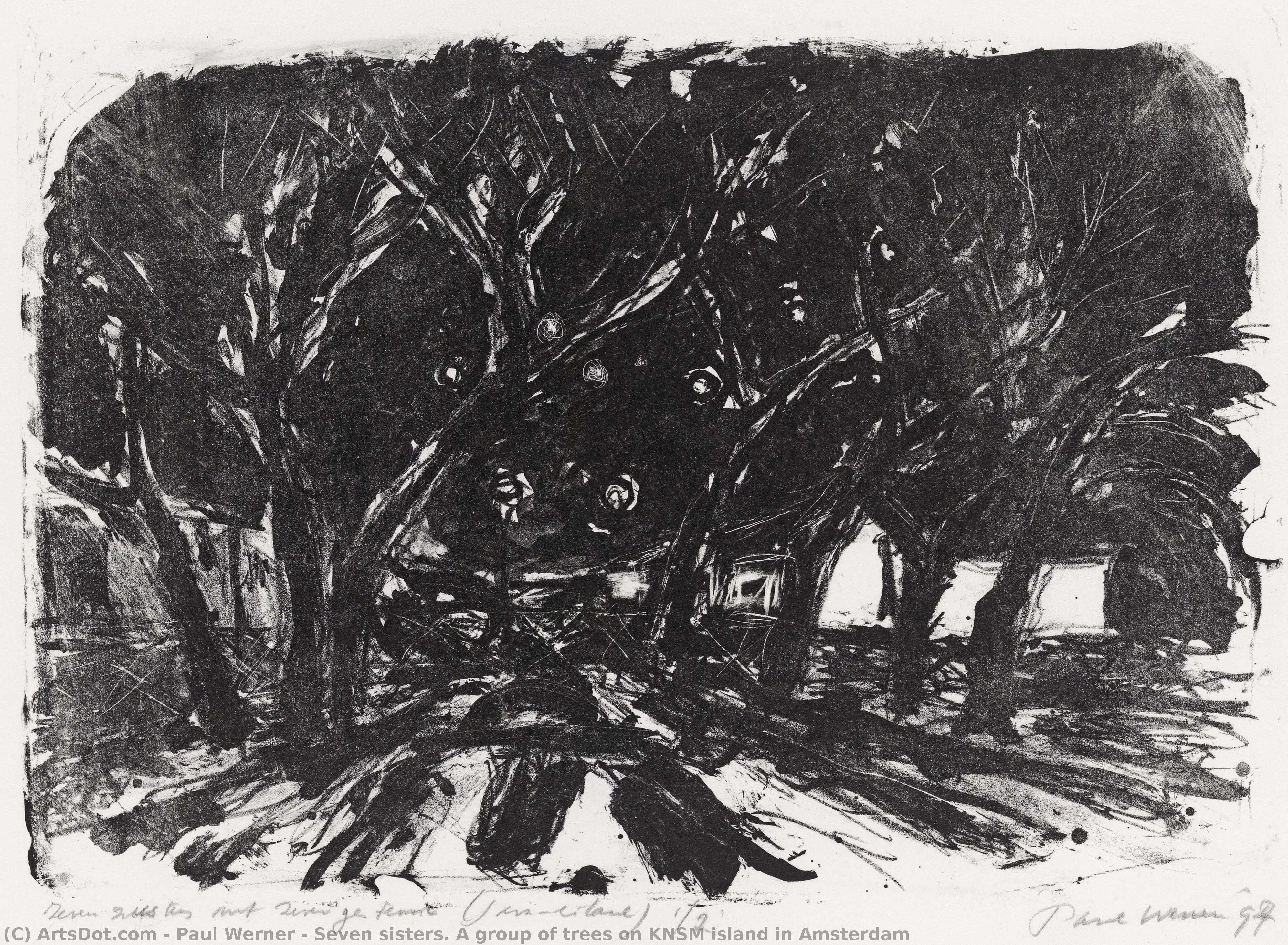 Seven Sisters. A Group Of Trees On Knsm Island In Amsterdam — Paul Werner