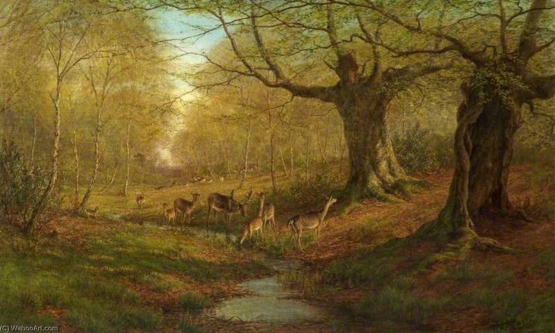 Burnham Beeches, Buckinghamshire — William Luker