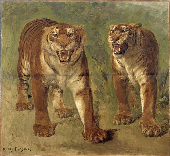 Tigre Royal Furieux — Bonheur Marie Rosalie