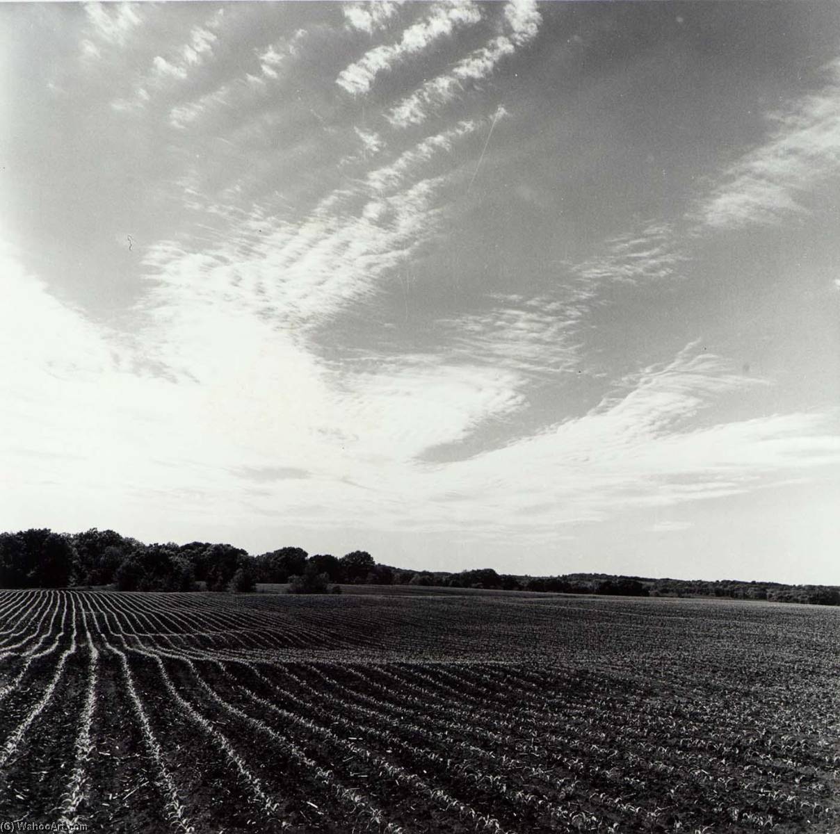 Leavenworth County, From The Kansas Documentary Survey Project — Larry W Schwarm