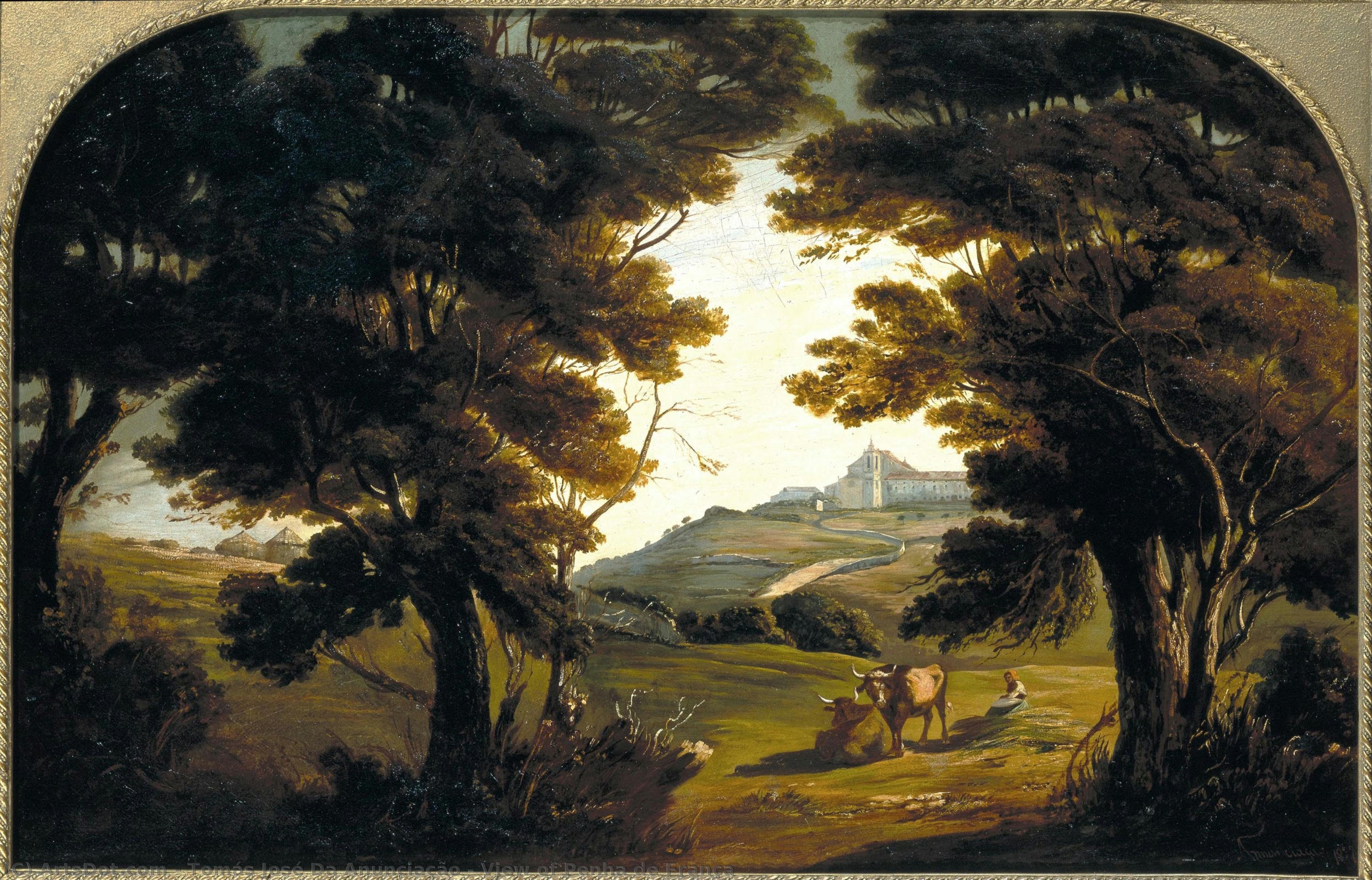 View Of Penha De França — Tomás Da Anunciação