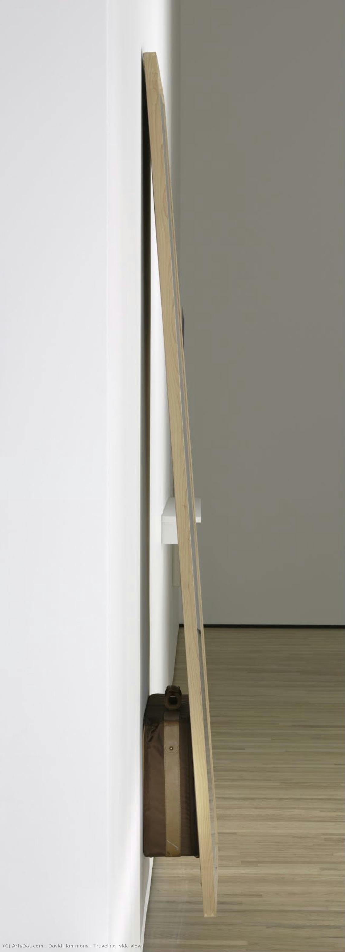 Traveling (side View) — David Hammons