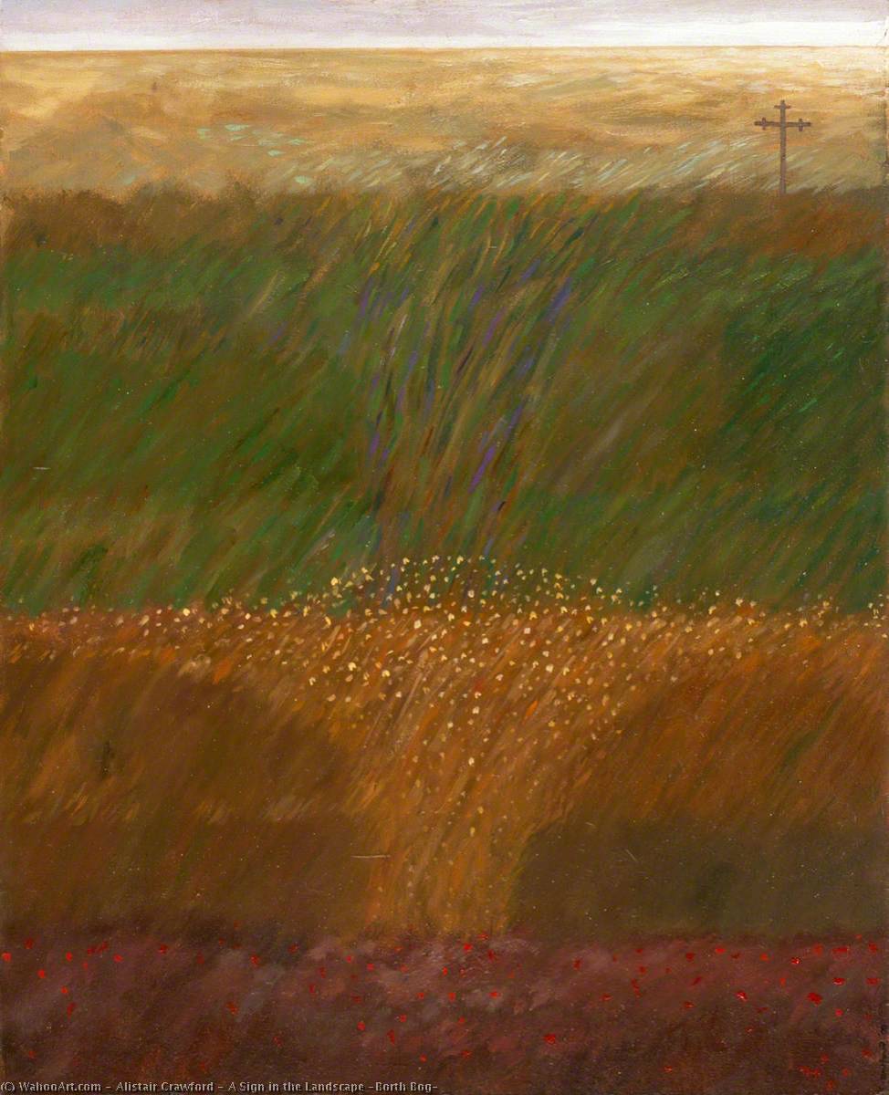A Sign In The Landscape (borth Bog) — Alistair Crawford