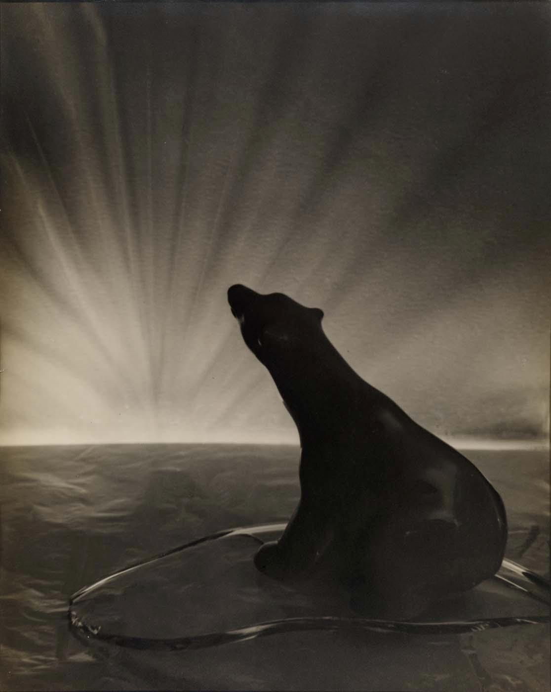 Solitude — Grace M Ballentine