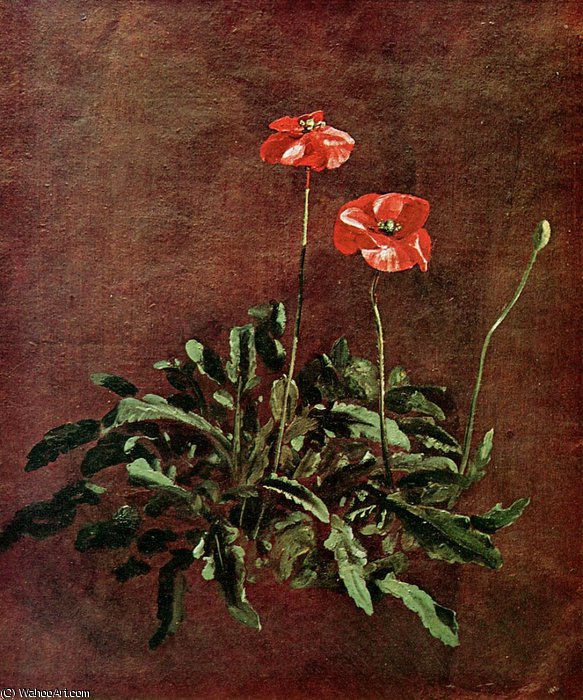 Study For Poppies Sun — ジョン・コンスタブル