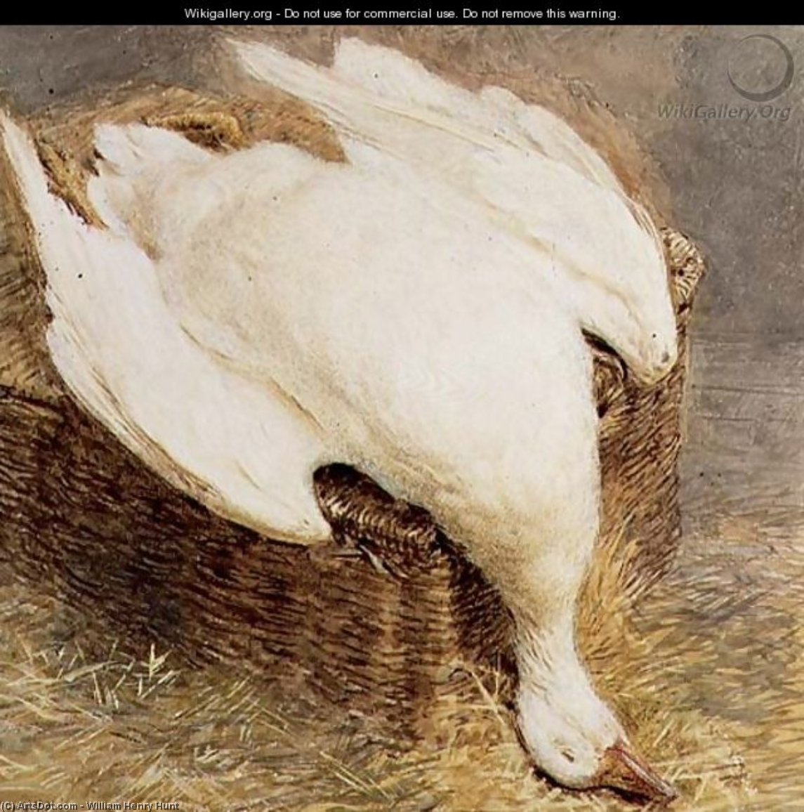 Still Life Of A Dead Goose With A Basket, — William Henry Hunt