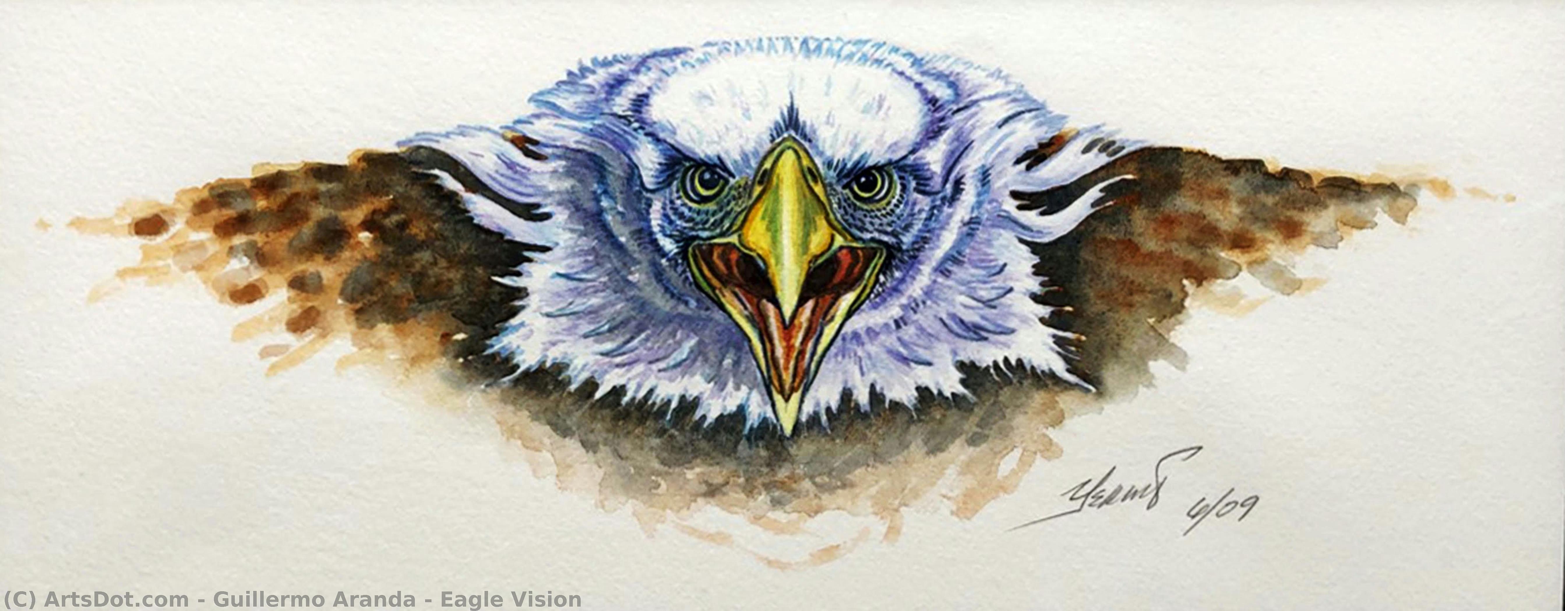Eagle Vision — Guillermo Aranda