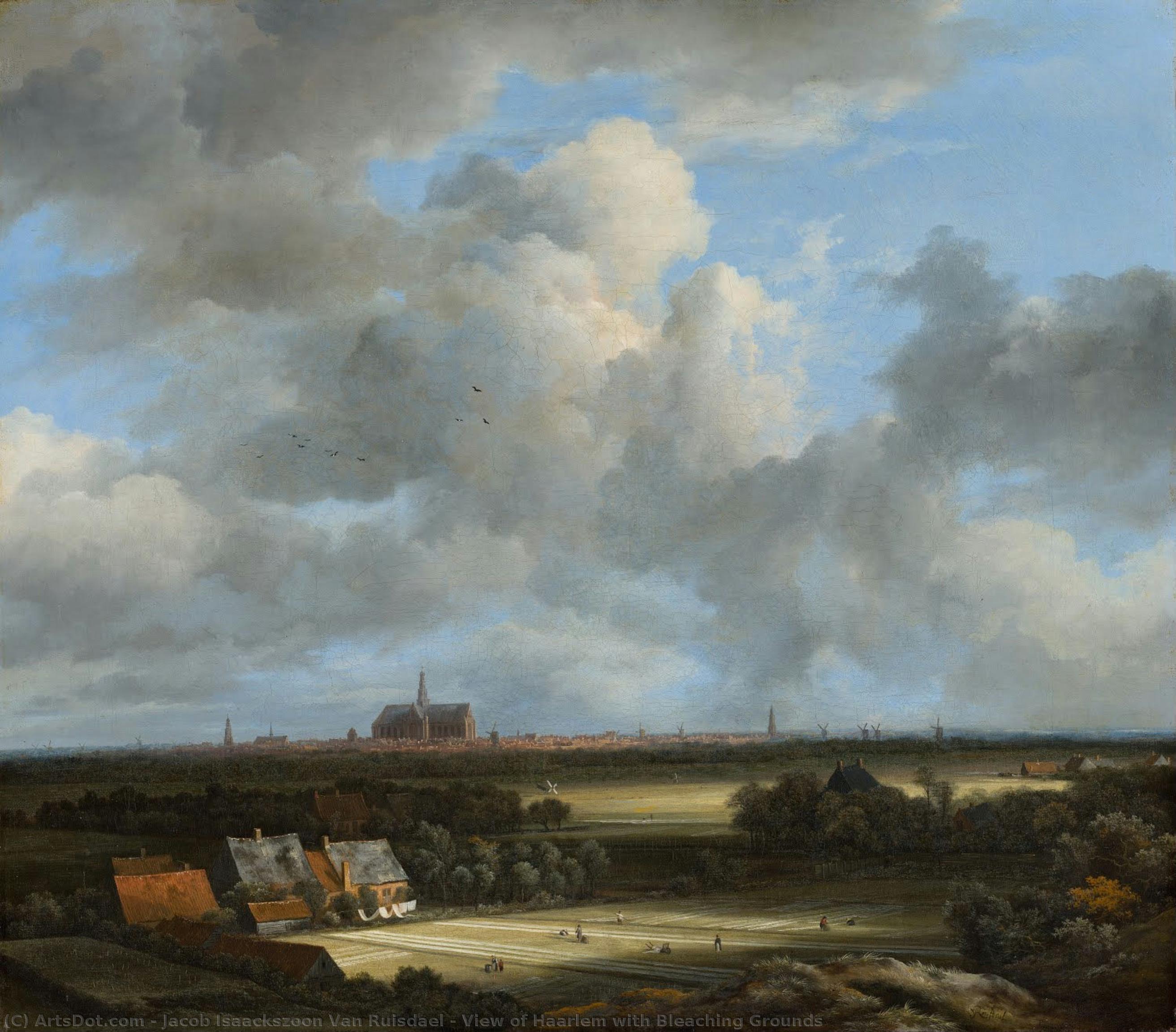 View Of Haarlem With Bleaching Grounds — Jacob Isaackszoon Van Ruisdael