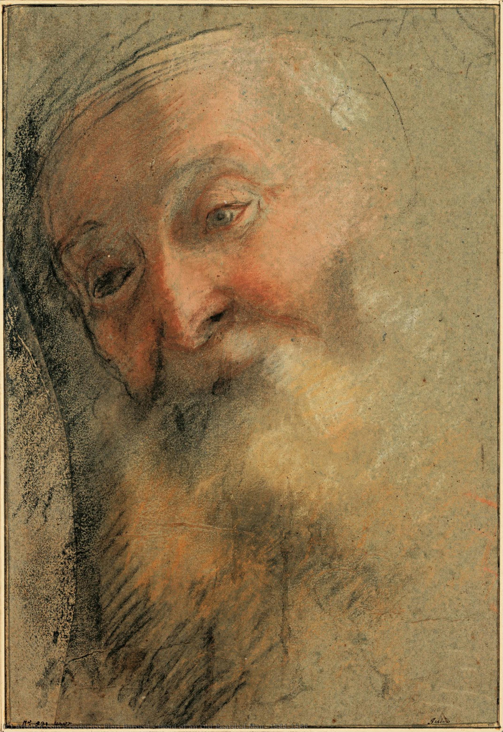 Head Of An Old Bearded Man, 1584-1586 — Federico Fiori Barocci