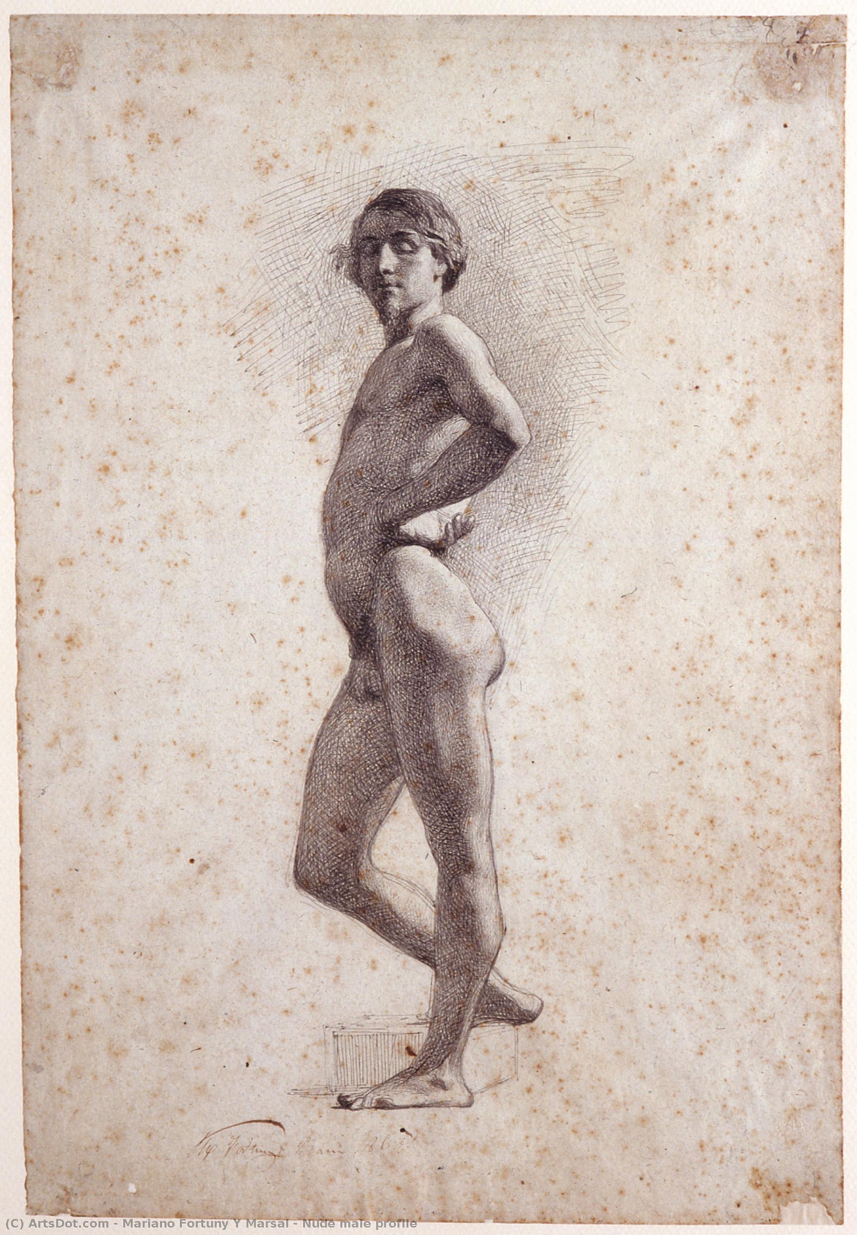 Nude Male Profile — Mariano Fortuny Y Marsal