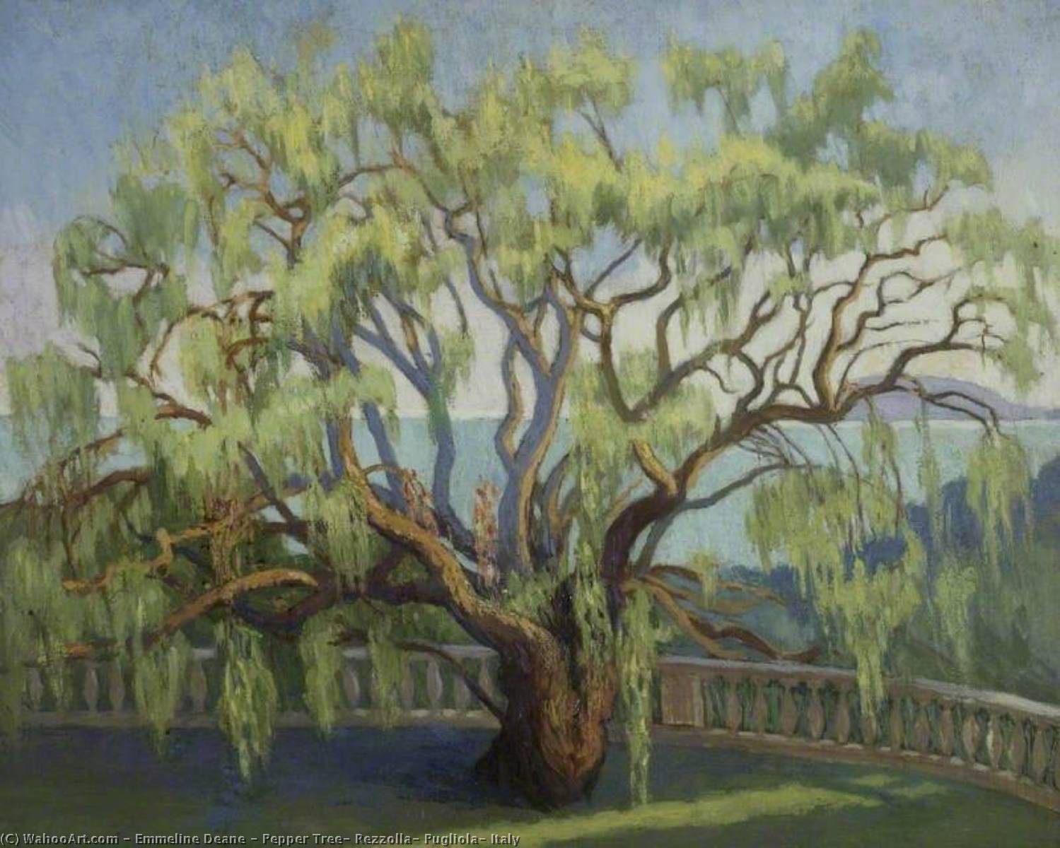Pepper Tree, Rezzolla, Pugliola, Italy — Emmeline Deane