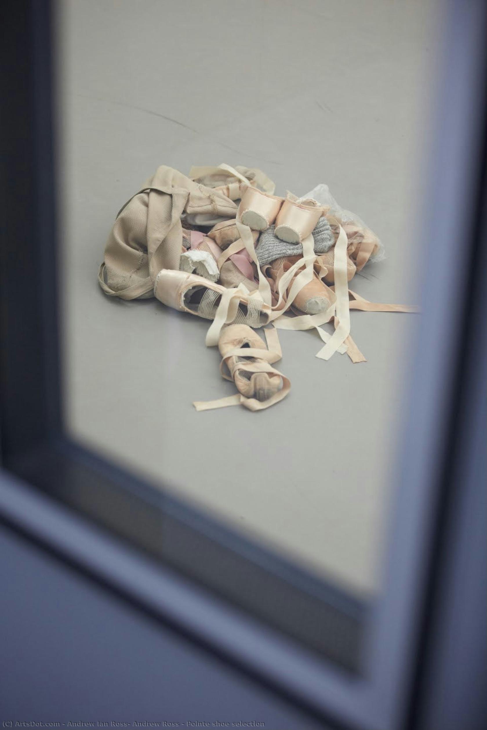 Pointe Shoe Selection — Andrew Ian Ross, Andrew Ross