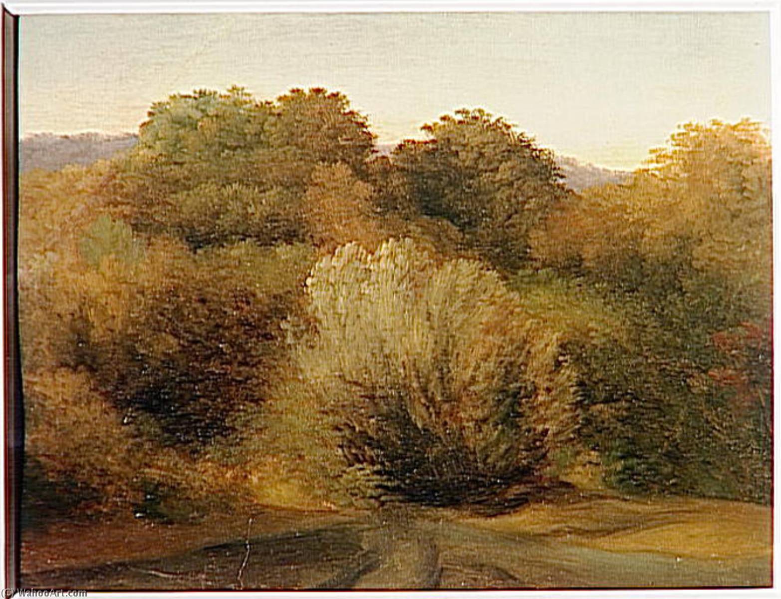 Villa Albano Prairie Et Massif D'arbres — Pjer-anri De Valenjen