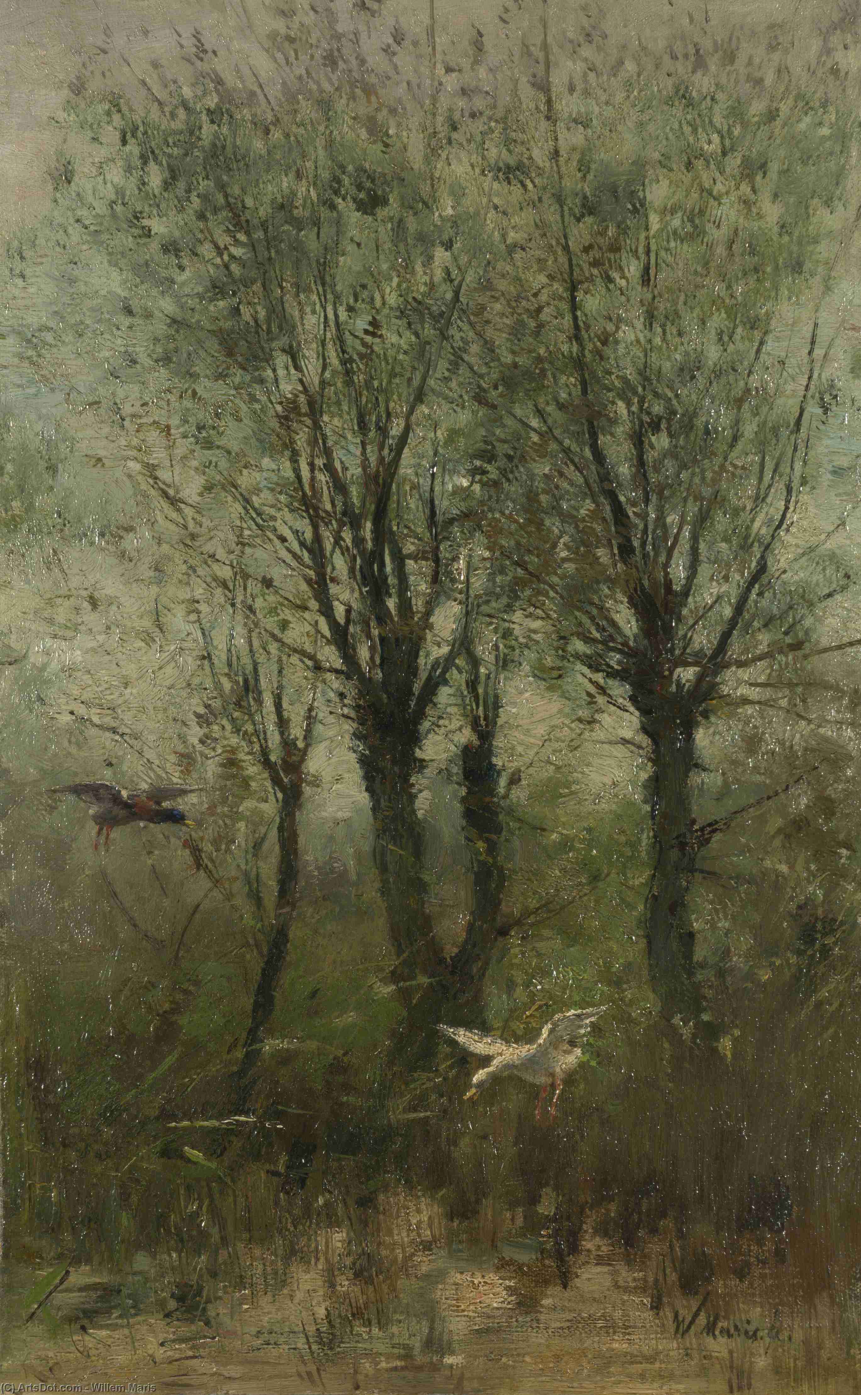 Ducks Alighting On A Pool — Виллем Марис