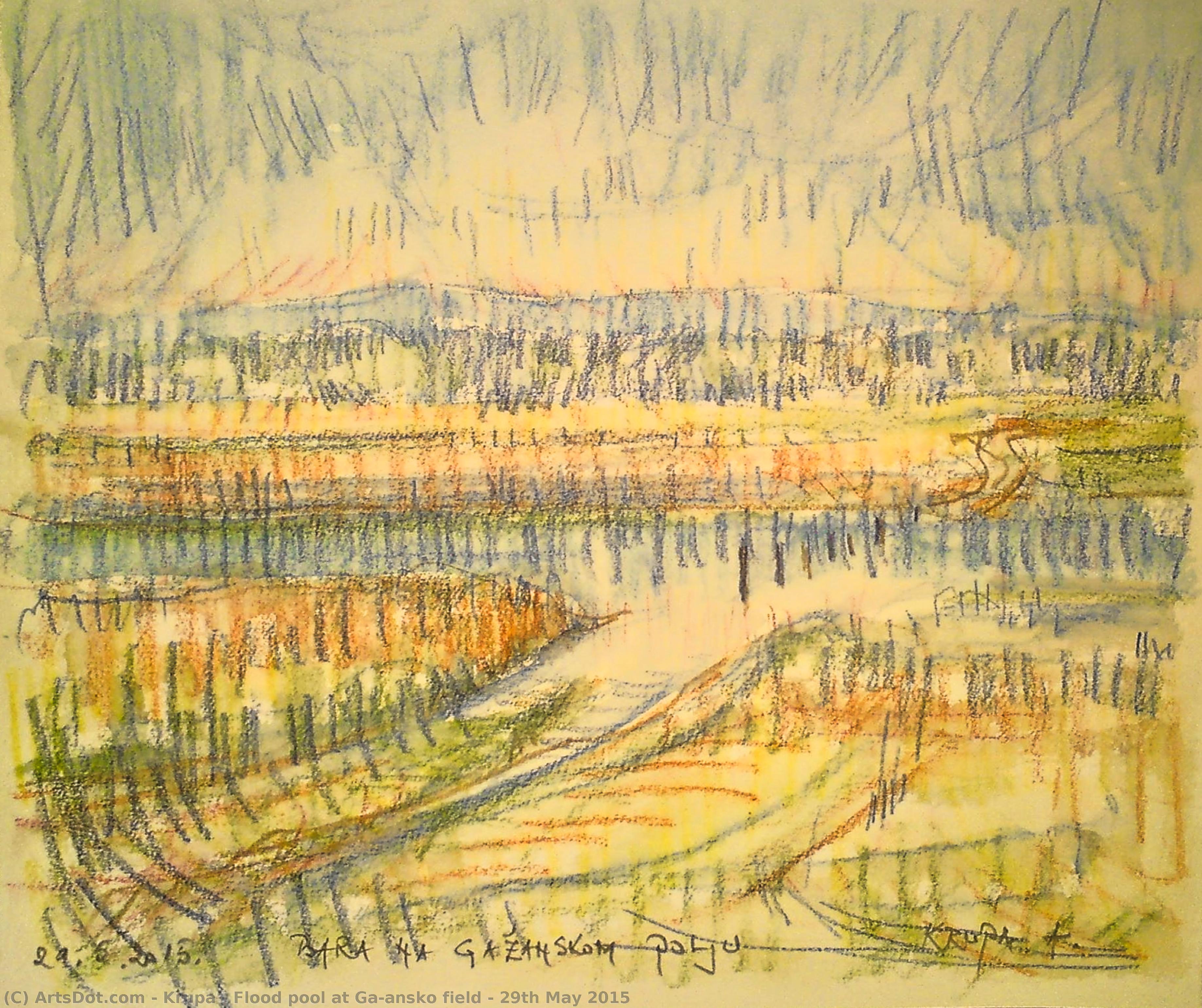 Flood Pool At Gažansko Field - 29th May 2015 — Krupa