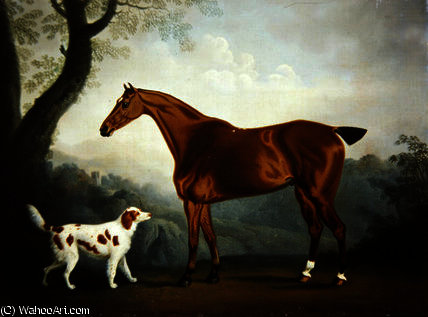Bay Hunter And Spaniel In A Wooded Landscape — Daniel Gillespie Clowes