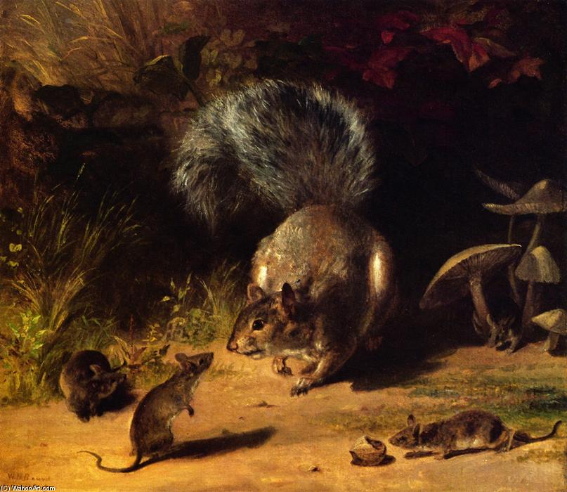 Squirrel And Mice (also Known As Making Acquaintance) — Уильям Холбрук Бирд
