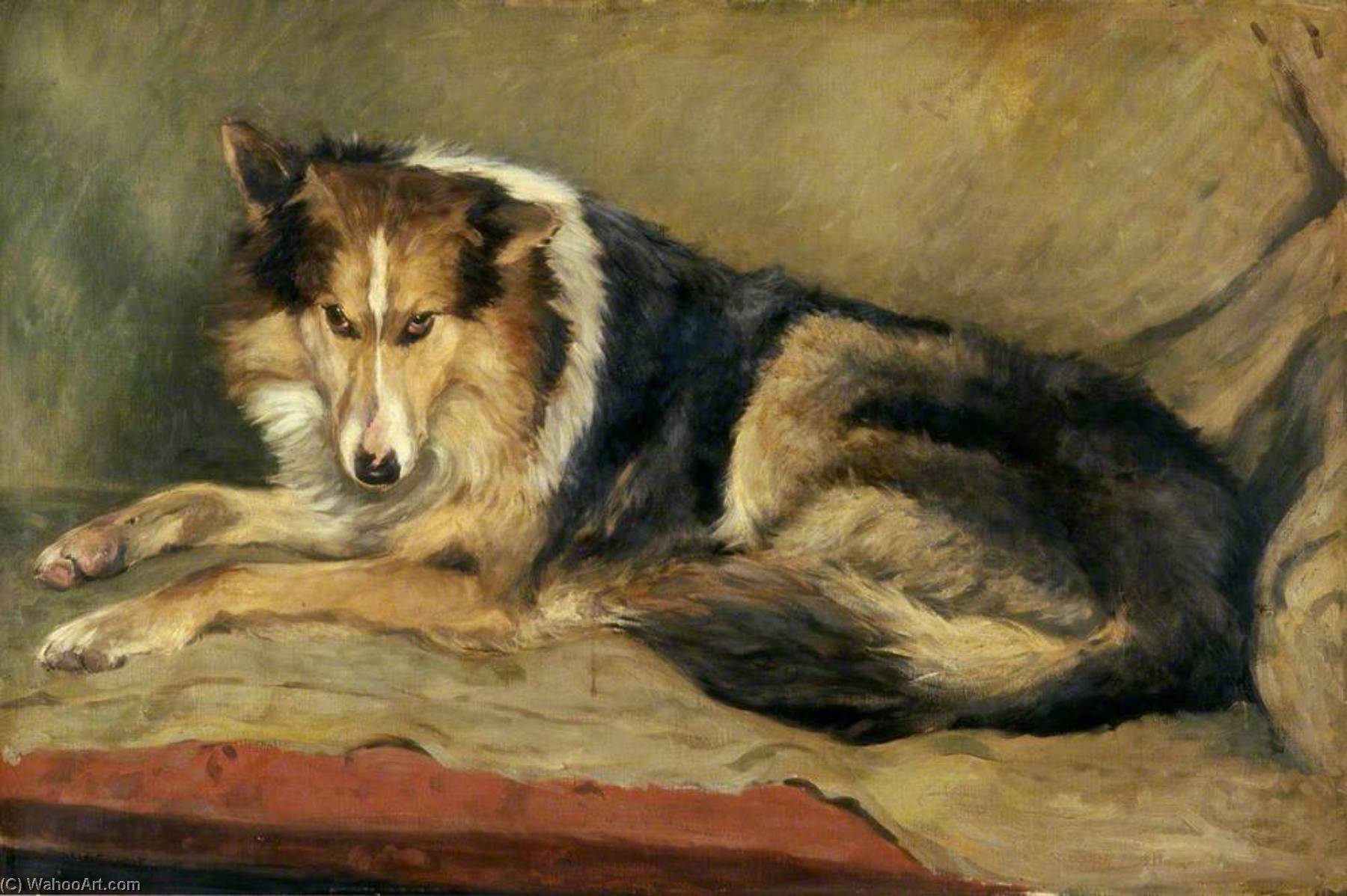 Collie Dog — William Henry Charlton