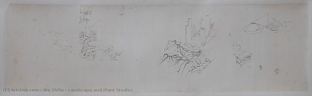 Landscape And Plant Studies — Xie Zhiliu