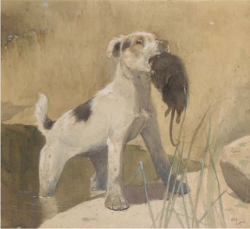 Country Dog; And Town Dog — Beatrice Parsons