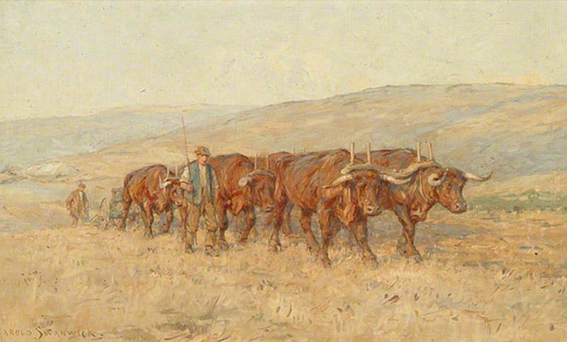 Oxen Ploughing, South Downs — Joseph Harold Swanwick