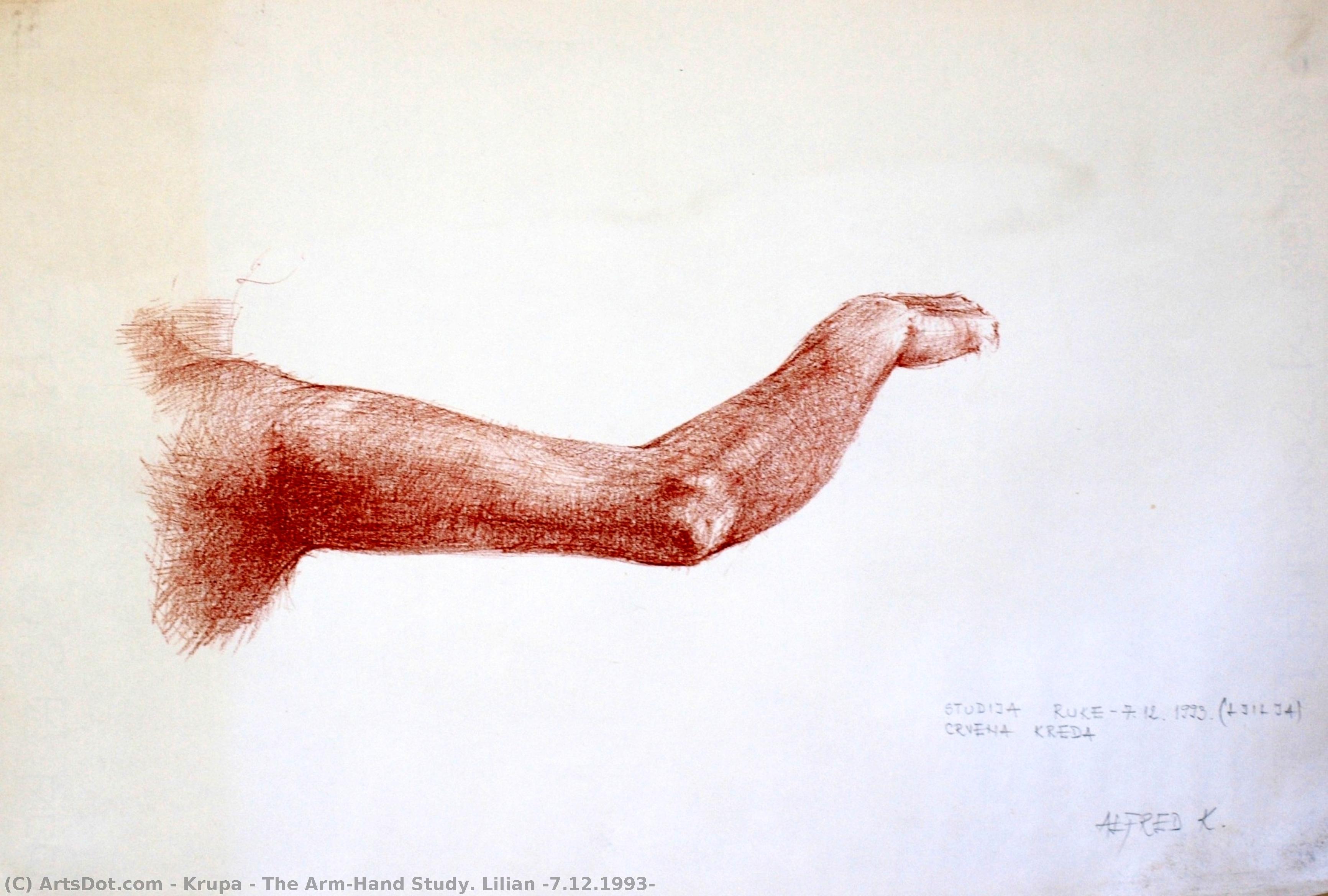 The Arm/hand Study. Lilian (7.12.1993) — Alfred Freddy Krupa